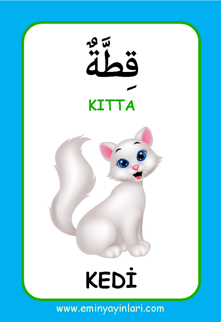 Arapça 01.Hayvanlar Âlemi / Resimli Kelime Kartları 72-Kart