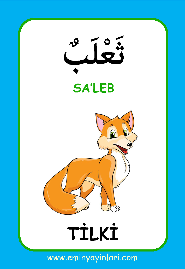 Arapça 01.Hayvanlar Âlemi / Resimli Kelime Kartları 72-Kart